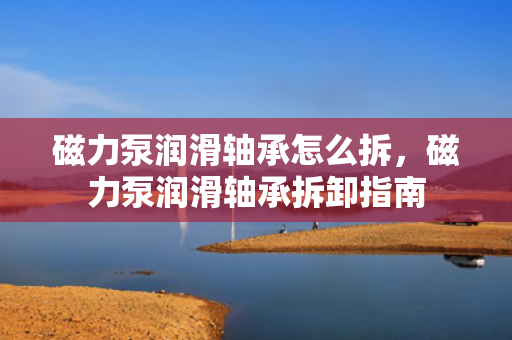 磁力泵润滑轴承怎么拆，磁力泵润滑轴承拆卸指南