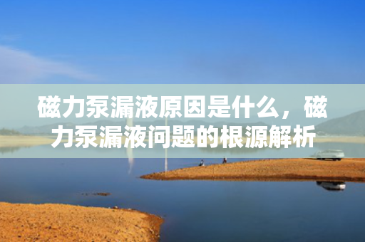 磁力泵漏液原因是什么，磁力泵漏液问题的根源解析
