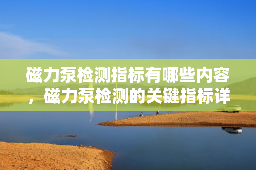 磁力泵检测指标有哪些内容，磁力泵检测的关键指标详解