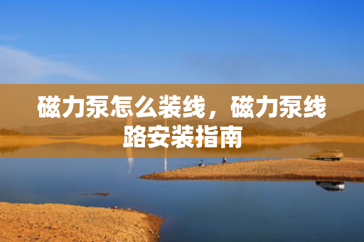 磁力泵怎么装线，磁力泵线路安装指南