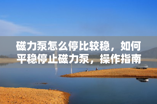 磁力泵怎么停比较稳，如何平稳停止磁力泵，操作指南与注意事项