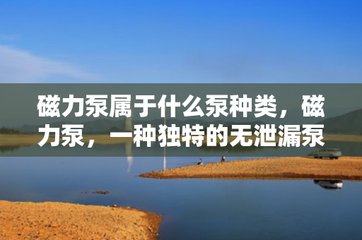 磁力泵属于什么泵种类，磁力泵，一种独特的无泄漏泵类，了解其分类及特点