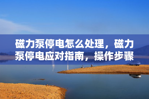 磁力泵停电怎么处理，磁力泵停电应对指南，操作步骤与注意事项
