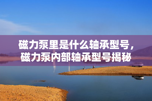 磁力泵里是什么轴承型号，磁力泵内部轴承型号揭秘