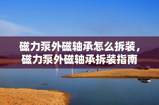 磁力泵外磁轴承怎么拆装，磁力泵外磁轴承拆装指南