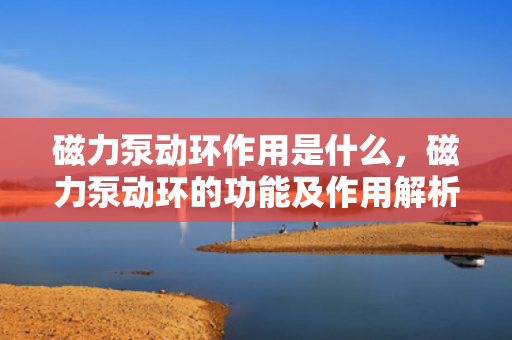 磁力泵动环作用是什么，磁力泵动环的功能及作用解析