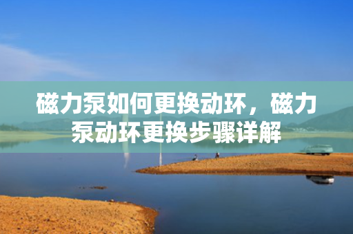 磁力泵如何更换动环，磁力泵动环更换步骤详解