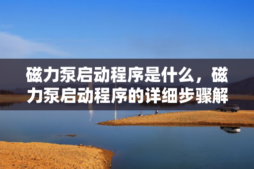 磁力泵启动程序是什么，磁力泵启动程序的详细步骤解析