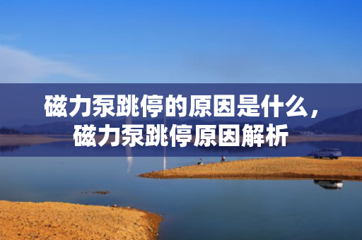 磁力泵跳停的原因是什么，磁力泵跳停原因解析