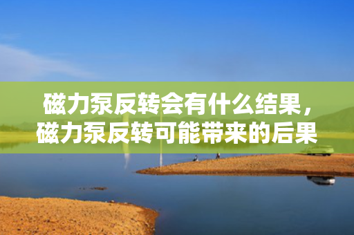 磁力泵反转会有什么结果，磁力泵反转可能带来的后果