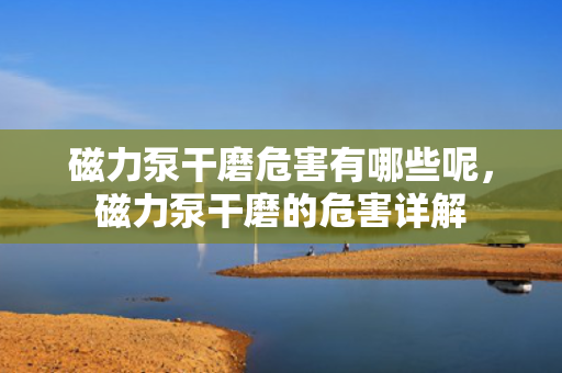 磁力泵干磨危害有哪些呢，磁力泵干磨的危害详解