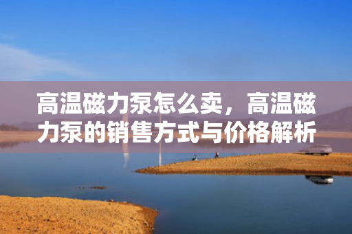 高温磁力泵怎么卖，高温磁力泵的销售方式与价格解析