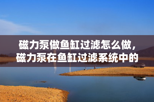 磁力泵做鱼缸过滤怎么做，磁力泵在鱼缸过滤系统中的应用方法