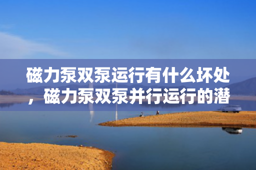 磁力泵双泵运行有什么坏处，磁力泵双泵并行运行的潜在风险