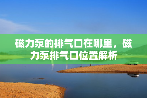 磁力泵的排气口在哪里，磁力泵排气口位置解析