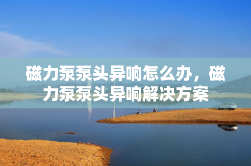 磁力泵泵头异响怎么办，磁力泵泵头异响解决方案