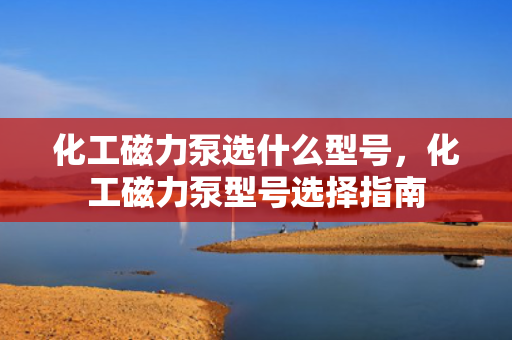 化工磁力泵选什么型号，化工磁力泵型号选择指南