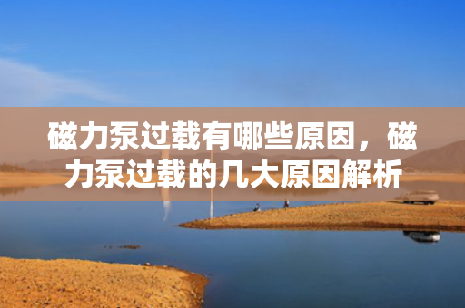 磁力泵过载有哪些原因，磁力泵过载的几大原因解析