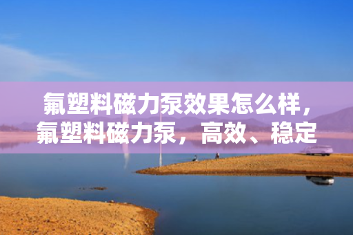 氟塑料磁力泵效果怎么样，氟塑料磁力泵，高效、稳定的流体输送解决方案