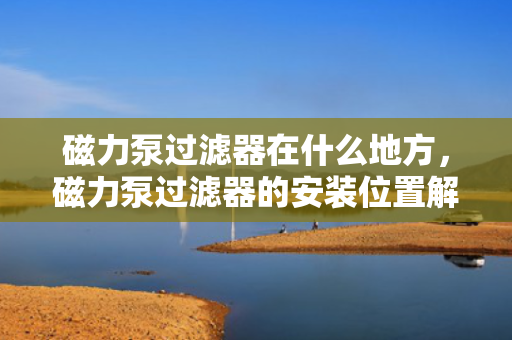 磁力泵过滤器在什么地方，磁力泵过滤器的安装位置解析