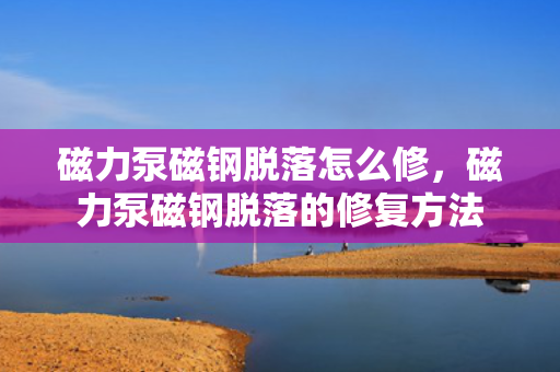 磁力泵磁钢脱落怎么修，磁力泵磁钢脱落的修复方法