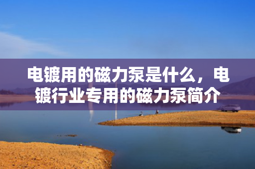 电镀用的磁力泵是什么，电镀行业专用的磁力泵简介