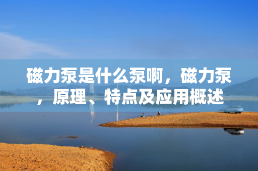 磁力泵是什么泵啊，磁力泵，原理、特点及应用概述