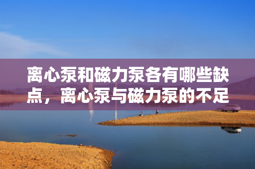 离心泵和磁力泵各有哪些缺点，离心泵与磁力泵的不足之处对比