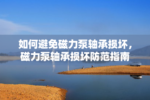 如何避免磁力泵轴承损坏，磁力泵轴承损坏防范指南