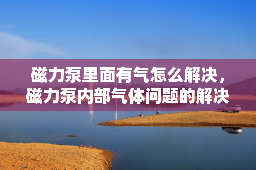 磁力泵里面有气怎么解决，磁力泵内部气体问题的解决方法