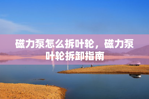 磁力泵怎么拆叶轮，磁力泵叶轮拆卸指南