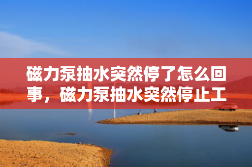 磁力泵抽水突然停了怎么回事，磁力泵抽水突然停止工作的可能原因及解决方法