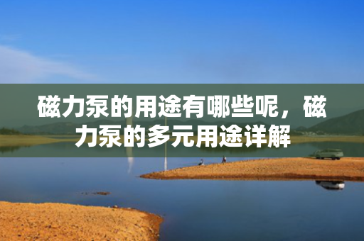 磁力泵的用途有哪些呢，磁力泵的多元用途详解