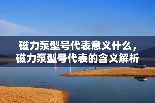 磁力泵型号代表意义什么，磁力泵型号代表的含义解析