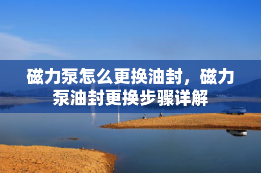 磁力泵怎么更换油封，磁力泵油封更换步骤详解