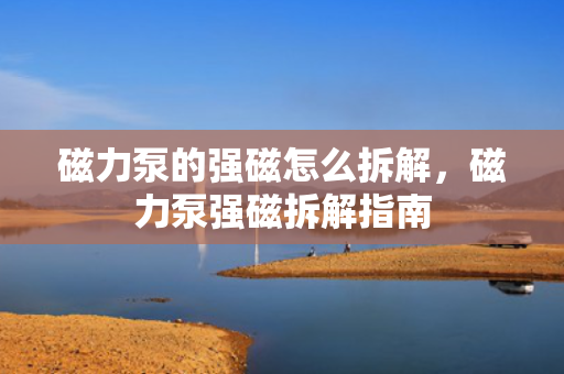 磁力泵的强磁怎么拆解，磁力泵强磁拆解指南