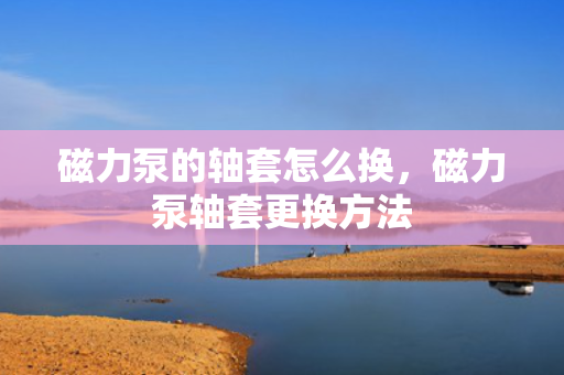 磁力泵的轴套怎么换，磁力泵轴套更换方法