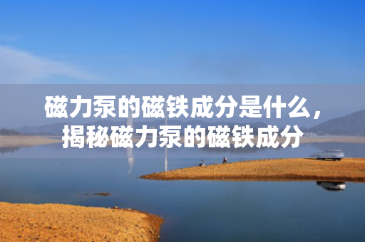 磁力泵的磁铁成分是什么，揭秘磁力泵的磁铁成分