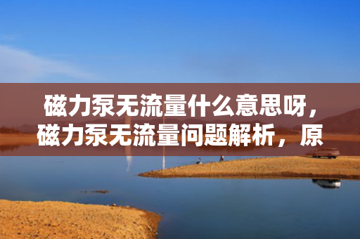 磁力泵无流量什么意思呀，磁力泵无流量问题解析，原因与解决方案