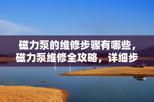 磁力泵的维修步骤有哪些，磁力泵维修全攻略，详细步骤解析