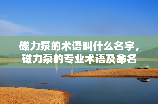 磁力泵的术语叫什么名字，磁力泵的专业术语及命名