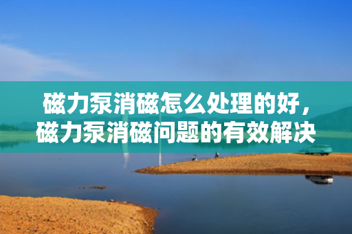 磁力泵消磁怎么处理的好，磁力泵消磁问题的有效解决方法