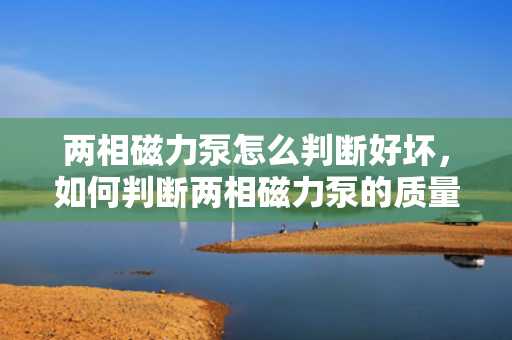 两相磁力泵怎么判断好坏，如何判断两相磁力泵的质量优劣？