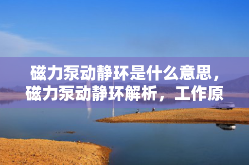 磁力泵动静环是什么意思，磁力泵动静环解析，工作原理与功能介绍