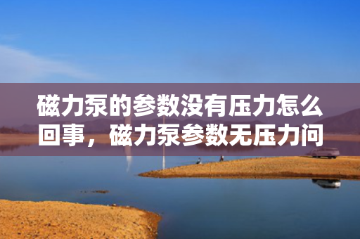 磁力泵的参数没有压力怎么回事，磁力泵参数无压力问题的原因及解决方法