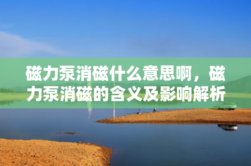 磁力泵消磁什么意思啊，磁力泵消磁的含义及影响解析