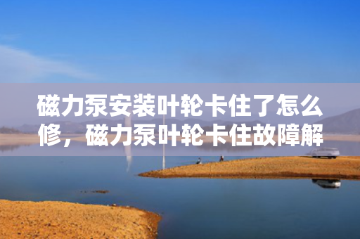 磁力泵安装叶轮卡住了怎么修，磁力泵叶轮卡住故障解决方案