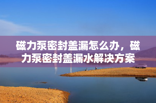磁力泵密封盖漏怎么办，磁力泵密封盖漏水解决方案