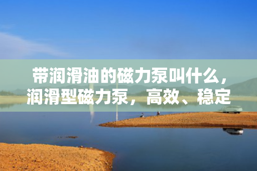带润滑油的磁力泵叫什么，润滑型磁力泵，高效、稳定的流体输送解决方案