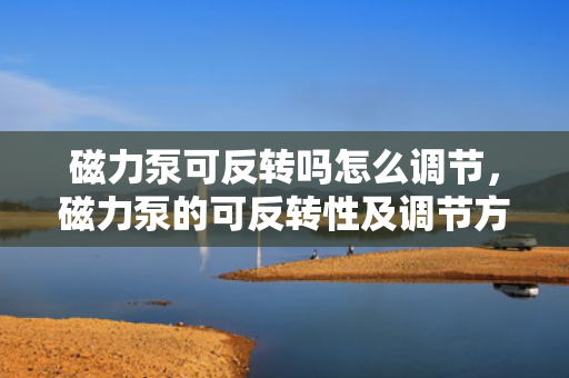 磁力泵可反转吗怎么调节，磁力泵的可反转性及调节方法解析